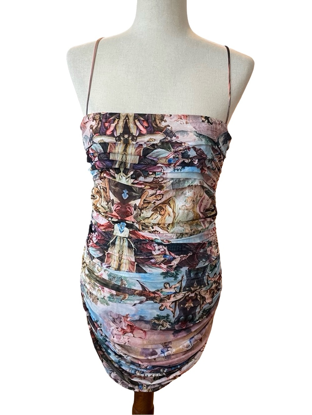 MORE TO COME REVOLVE Mariana Ruched Mini Dress Pink Multi Italian Renaissance